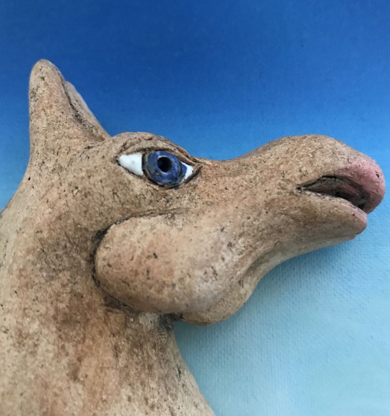 Seepferdchen