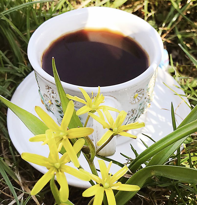 Hrnek s lučními květy 0,2 - espresso