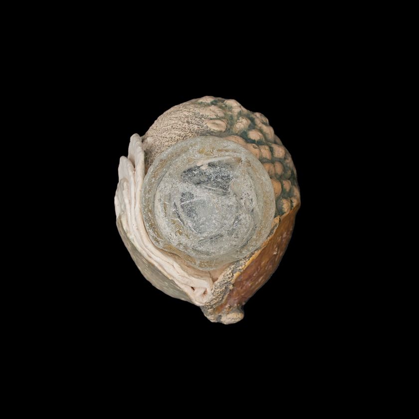 Ceramic Conch Shell with recycled glass lid