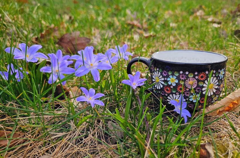 Bunte Wiese – Espressotasse 0,2 l