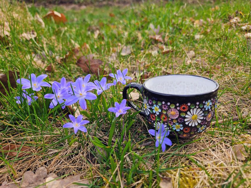 Bunte Wiese – Espressotasse 0,2 l