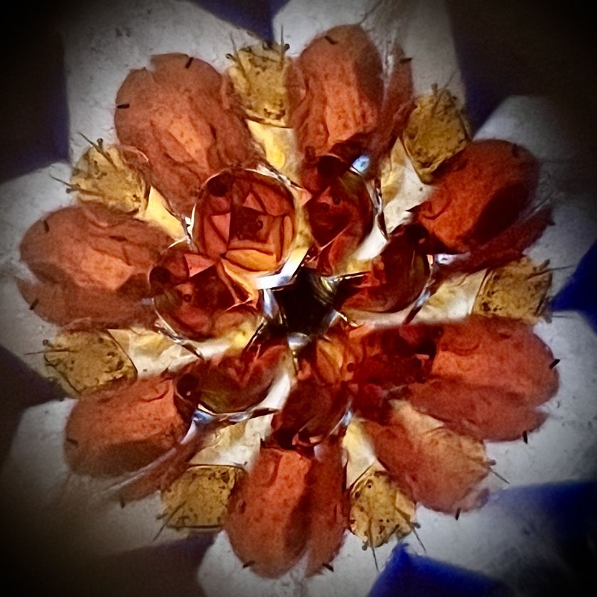 In Bloom - pendant kaleidoscope