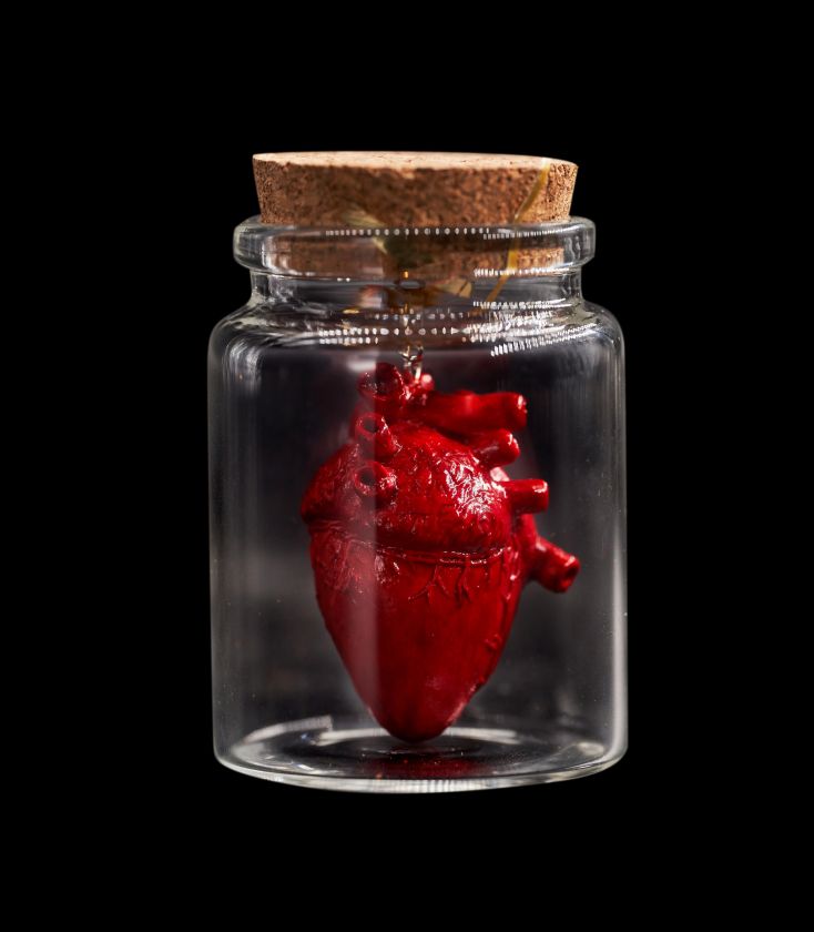 Strangelove - Large Anatomical heart pendant