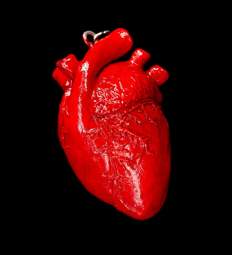Strangelove - Large Anatomical heart pendant