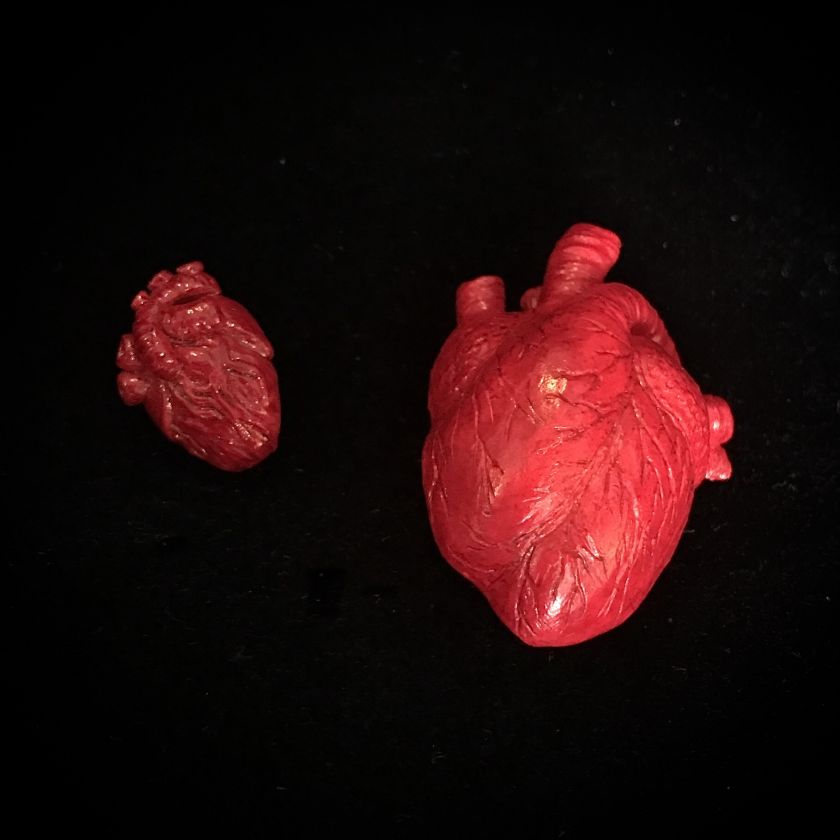 Strangelove – Großer Anstecker in anatomischer Herzform