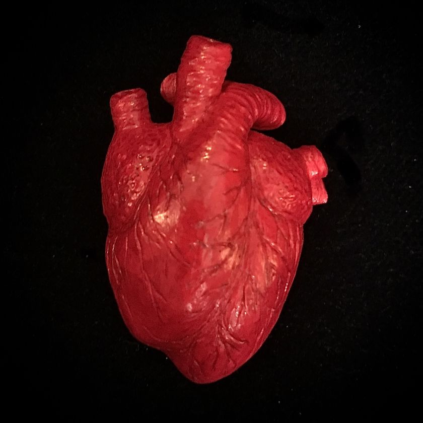 Strangelove – Großer Anstecker in anatomischer Herzform