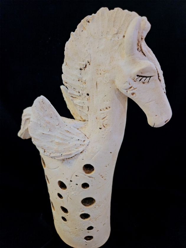 Shinning horse