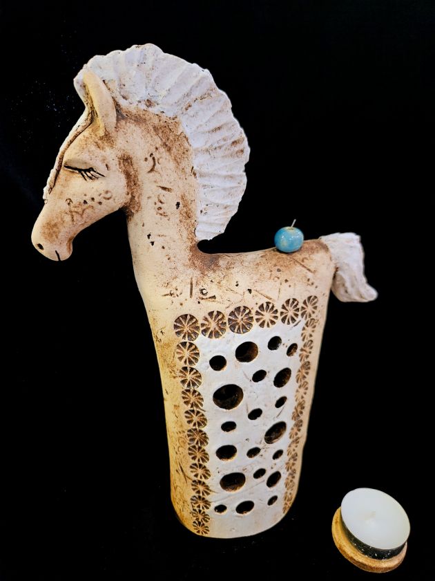 Shinning horse