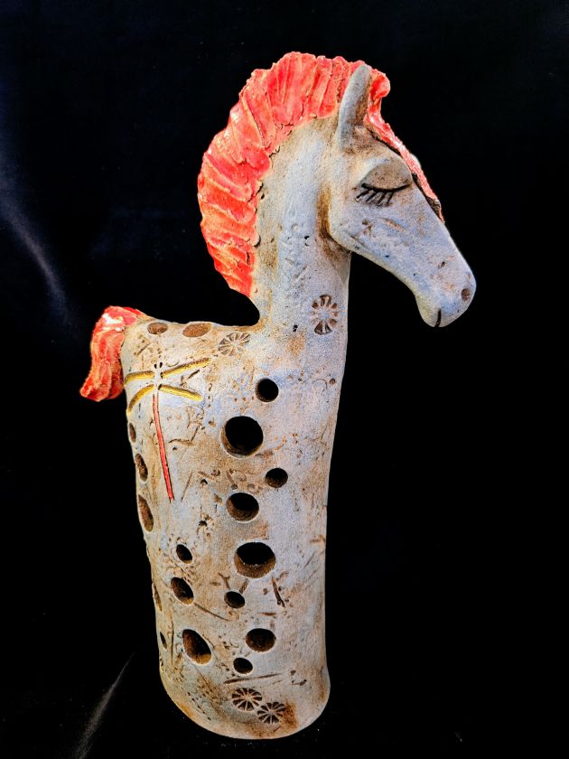 Shinning horse
