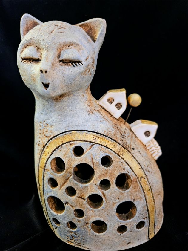 Shinning cat