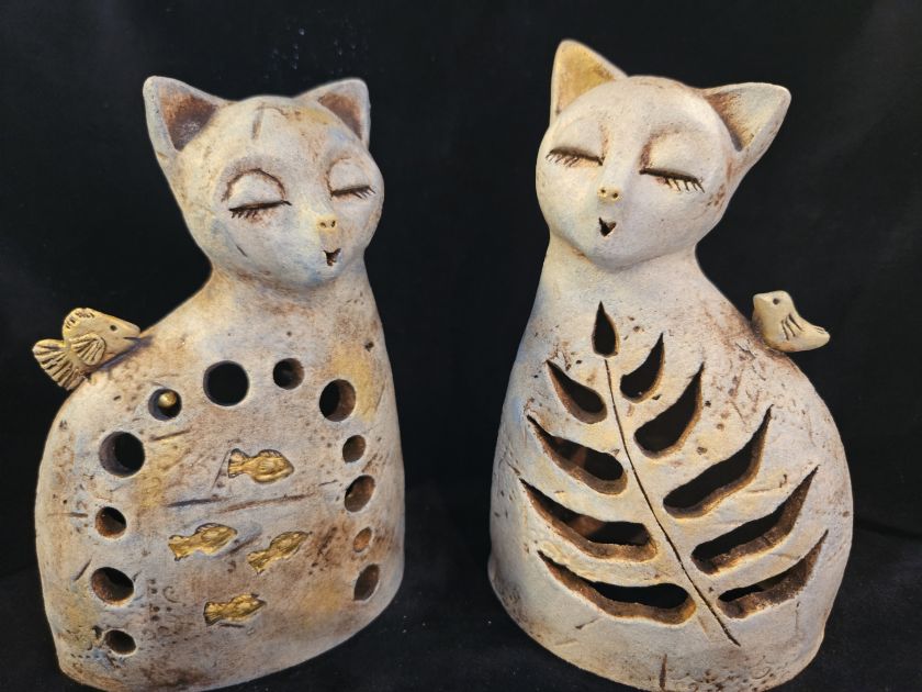 Shinning cat