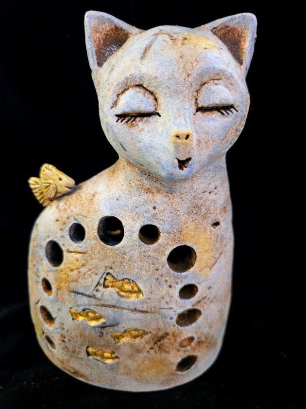 Shinning cat