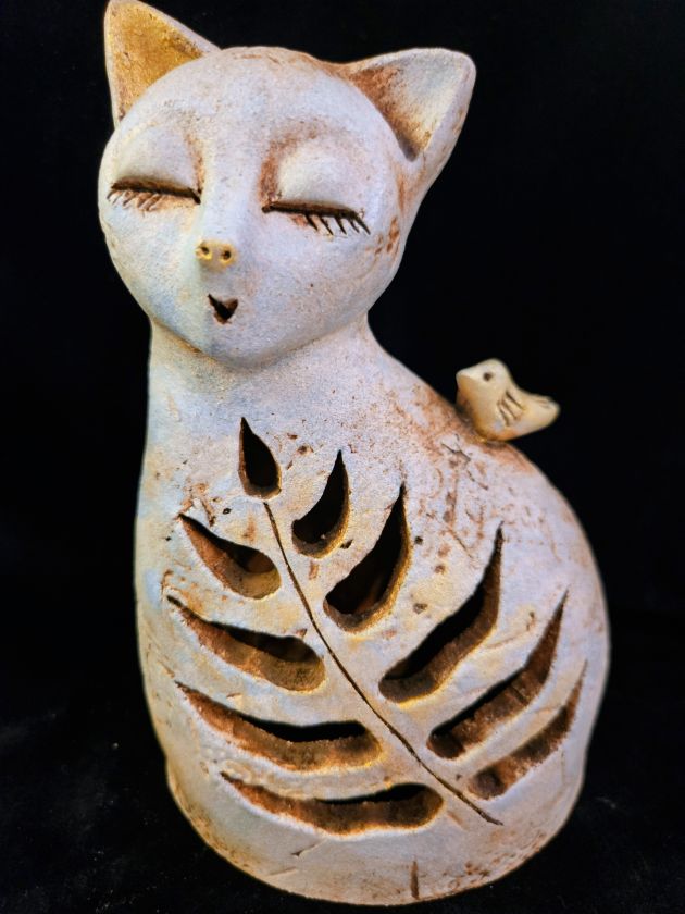 Shinning cat