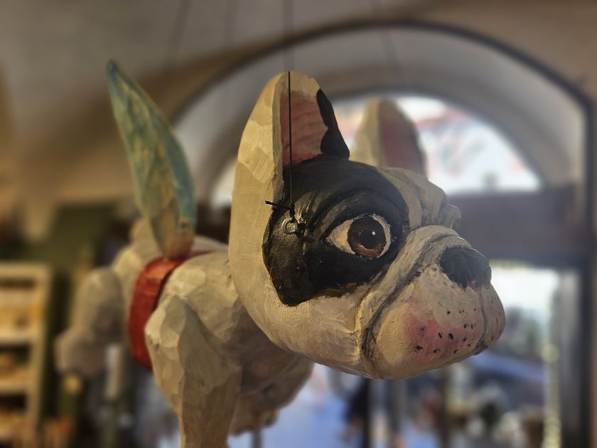 Fliegender Französische Bulldogge