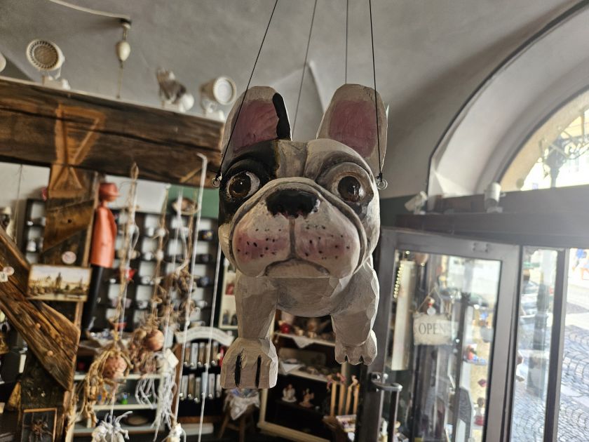 Fliegender Französische Bulldogge