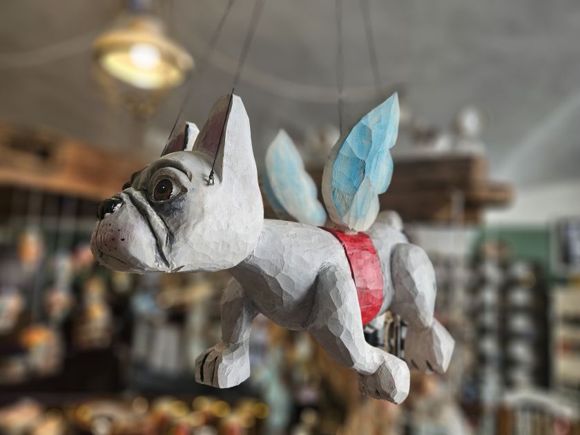 Fliegender Französische Bulldogge