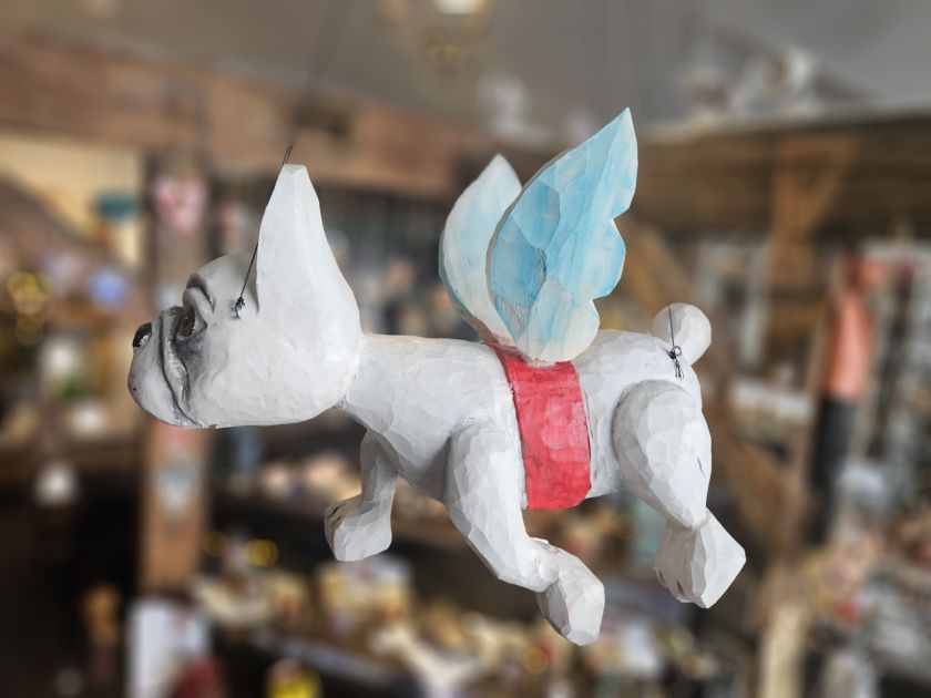 Fliegender Französische Bulldogge