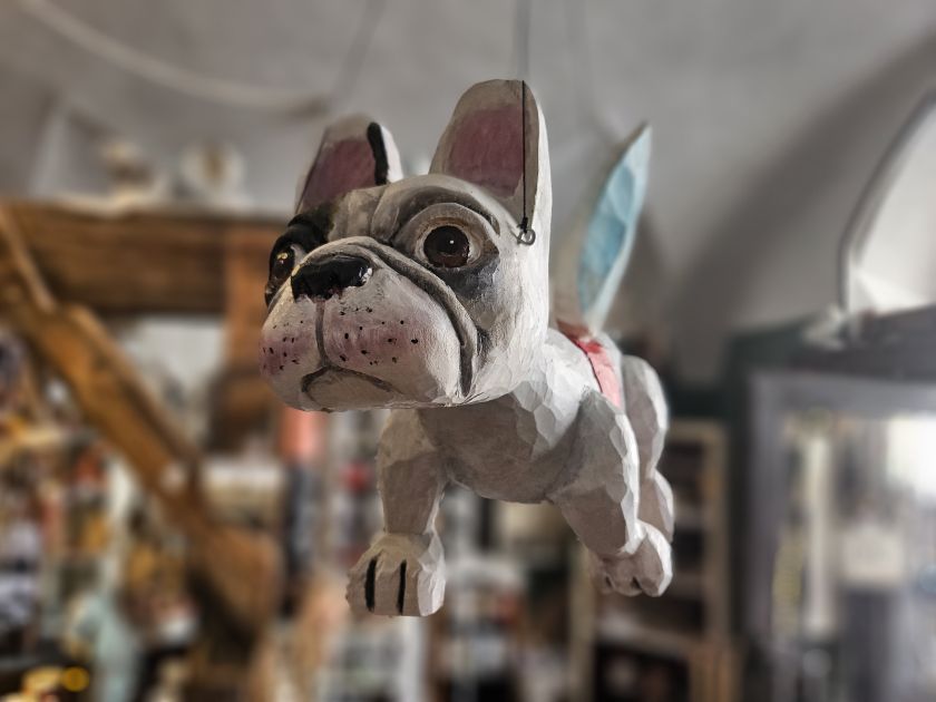 Fliegender Französische Bulldogge