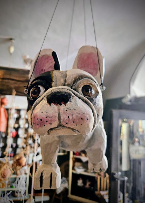 Fliegender Französische Bulldogge