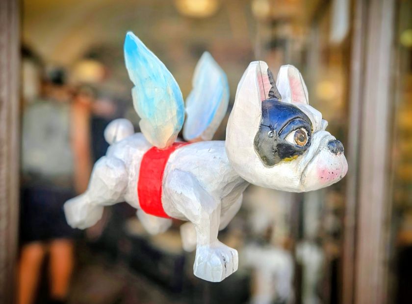 Fliegender Französische Bulldogge