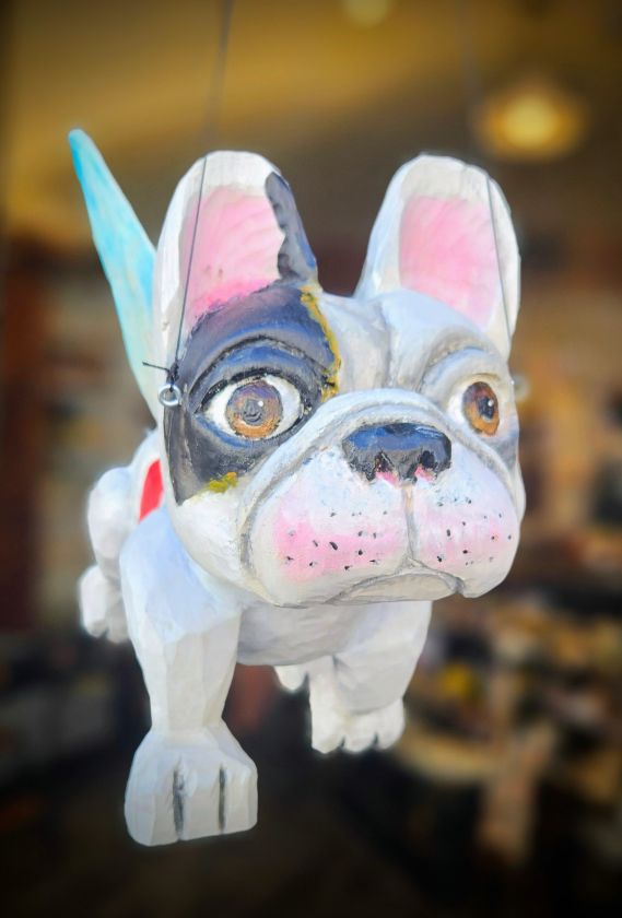 Fliegender Französische Bulldogge