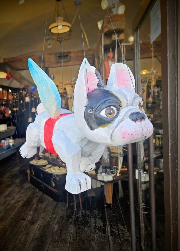 Fliegender Französische Bulldogge