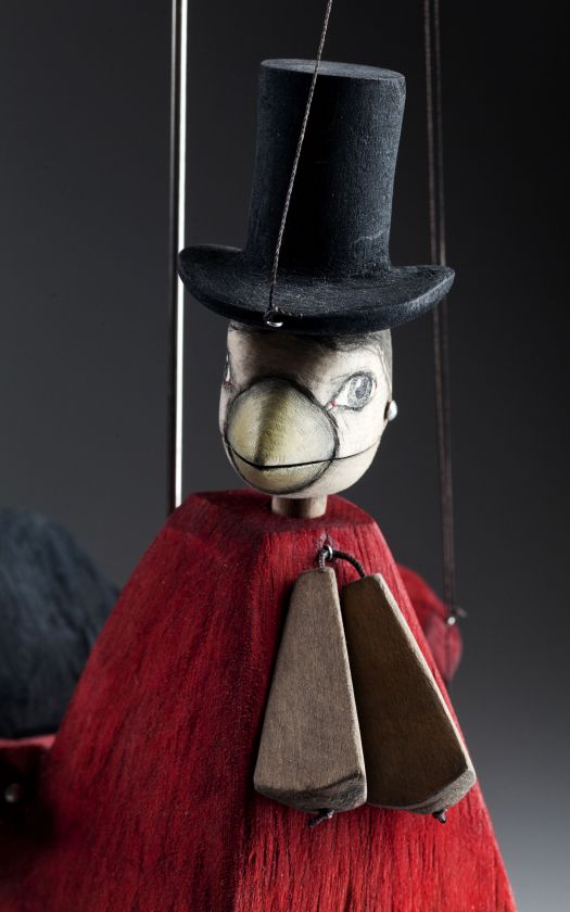 Kohout Gentleman
