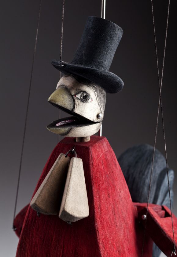 Kohout Gentleman