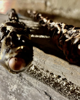 Handmade Wooden Wands - Bubbles
