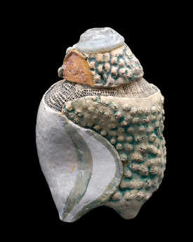 Ceramic Conch Shell with recycled glass lid