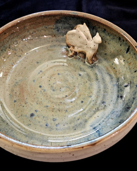 Curious Creatures- Whale Shark Ceramic Plate