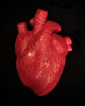 Strangelove – Velký odznak ve tvaru anatomického srdce
