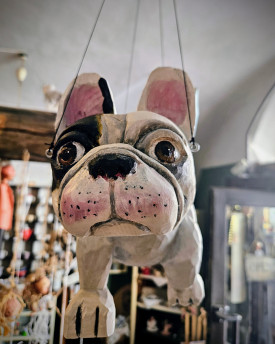 Flying French bulldog