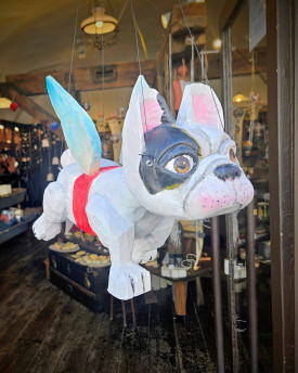 Flying French bulldog