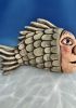 foto: Fischjunge
