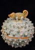 foto: Chameleon Jar