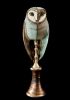 foto: Owl Ceramic Statue with antique stand