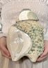 foto: Ceramic Conch Shell with recycled glass lid