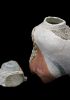 foto: Ceramic Conch Shell with recycled glass lid