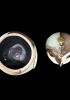 foto: Keramikdose mit antiken Details - Eule