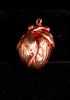 foto: Strangelove - Anatomical heart pendants