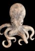 foto: WildArt - Ceramic Octopus