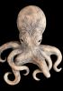 foto: WildArt - Keramischer Oktopus