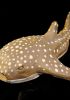 foto: Keramik-Skulptur - Walfisch-Hai