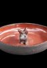 foto: Ceramic Bird bath with animal - medium