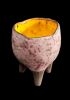 foto: Kroko pot - small