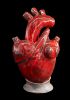 foto: WildArt Keramische Liebe - Anatomische Herzskulptur