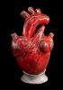 foto: Ceramic love - Anatomical heart statue