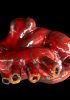 foto: Ceramic love - Anatomical heart statue