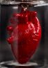 foto: Strangelove - Large Anatomical heart pendant